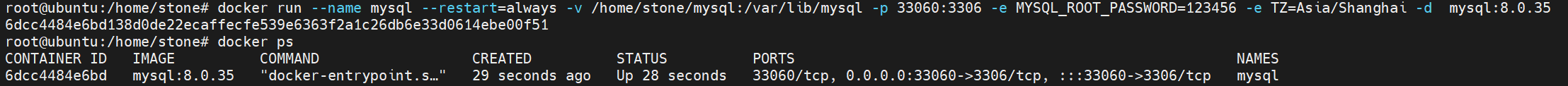 MySQL 容器运行状态