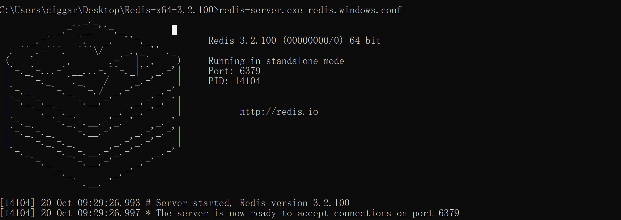 Redis 服务端启动示意